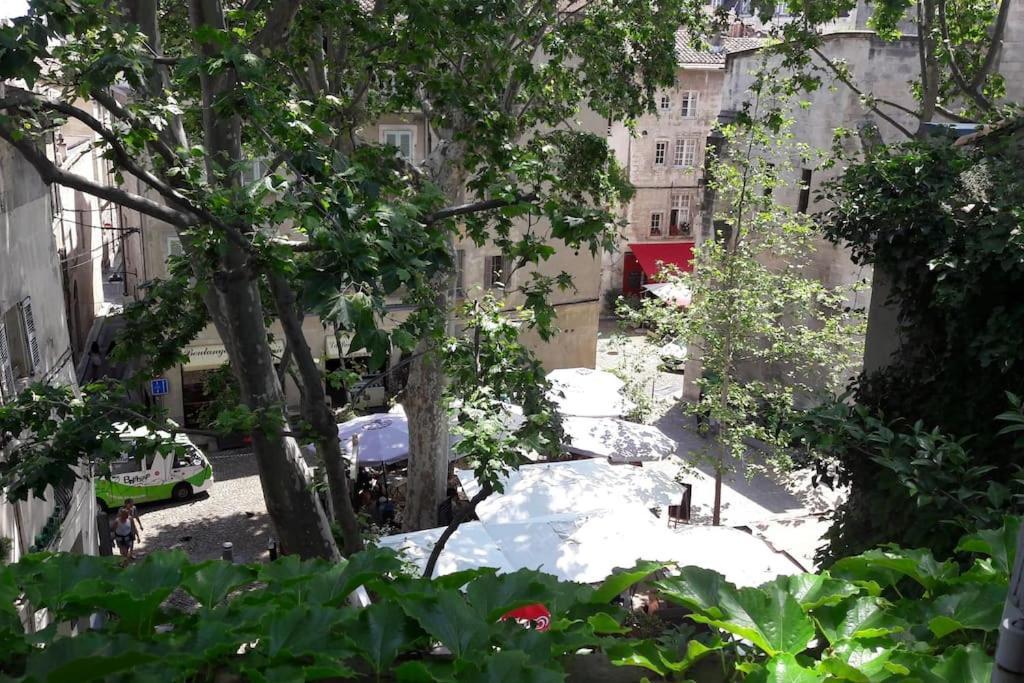 Renove, Vue Sur Palais Des Papes, Terrasse Et Wifi Troisieme Etage Avignon Exterior foto